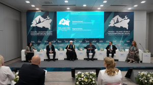 Муфтий Рушан Аббясов выступил на сессии Kazanforum «Медицинский туризм»
