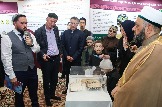 IMG_8595.JPG