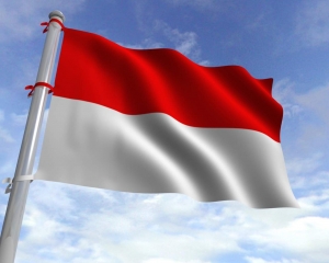Делегация СМР вылетела в Индонезию 