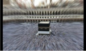 During the Hajj in 2024, hundreds of pilgrims left earthly life