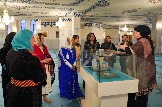 AMR02216.jpg