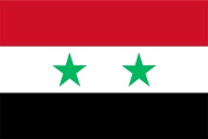 Лидер сирийцев в Татарстане: "Если не будет Асада, то Сирию ждет судьба Ливии"