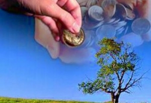 «Мы должны сплотиться и позаботиться о тех, кому реально нужна помощь». Балашовские мусульмане запустили благотворительную акцию