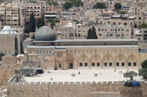Mufti Sheikh Ravil Gainutdin speaks about the situation in Jerusalem