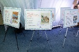 20250319182415.JPG