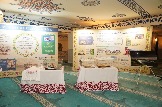 AMR00139.JPG