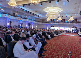 RBMRF delegation participates in the international conference in Cairo