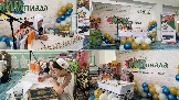 IMG_all_2