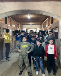 В дни праздника Ураза-байрам в Костромской области дети посетили знаменитый в регионе Конный завод